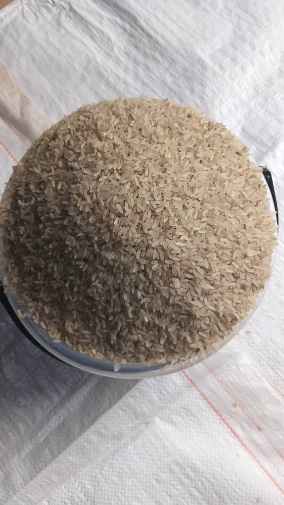 WhatsApp Image 2025-10-23 at 11.38.13 AM