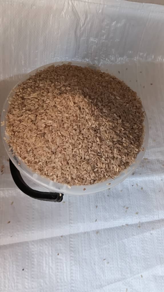 WhatsApp Image 2025-10-25 at 5.32.31 PM (1)